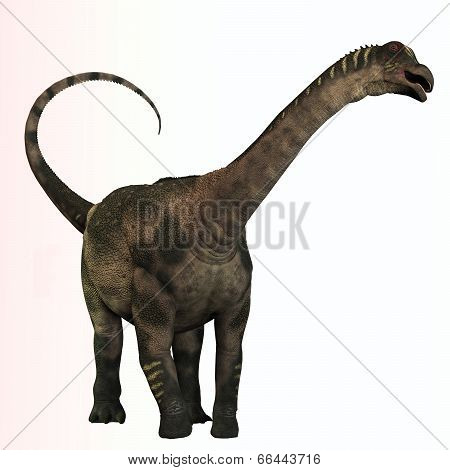 Antarctosaurus Profile