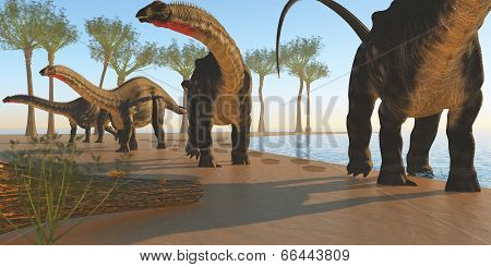Apatosaurus Dinosaur Shore