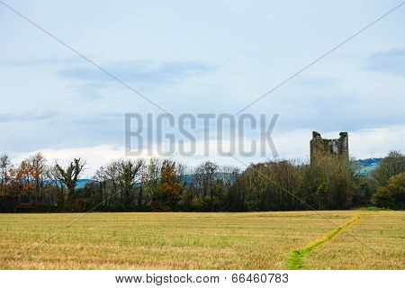 Kilcrea, Ireland - November 28: Kilcrea Castle On November 28, 2012 In Co.cork, Ireland