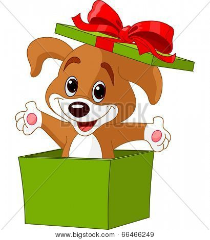 Puppy jumping out from a gift box