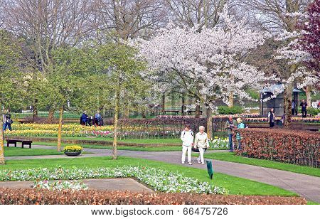 Keukenhof - Garden Of Europe, Netherlands