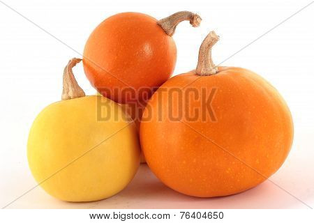 Three pumpkins isolated on a white background with a drop shadow