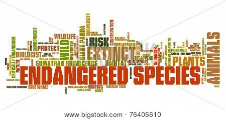 Endangered Animals