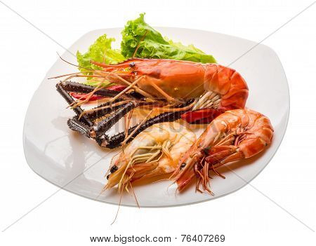 Giant Freshwater Prawn And King Prawns