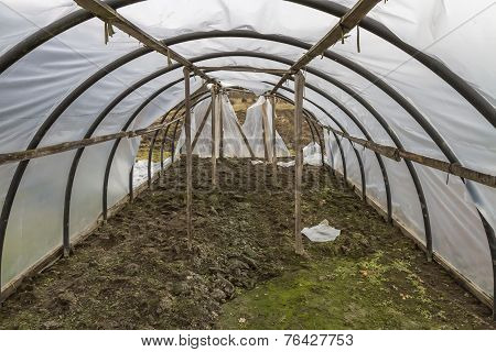 In The Broken Greenhouse