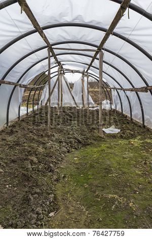 In The Greenhouse