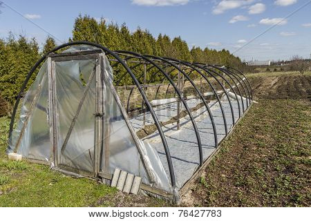 Greenhouse In Autumn