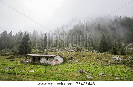 Huts In The Woods