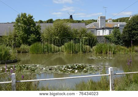 Village Pond At Rottingdean. Sussex. England