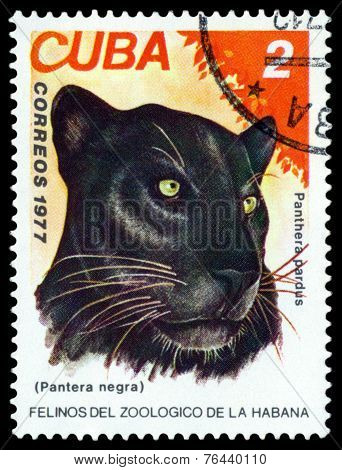 Vintage  Postage Stamp. Wild Big Cats. Black Panther.