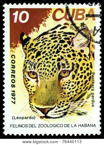 Vintage  Postage Stamp. Wild Big Cats. Leopard.