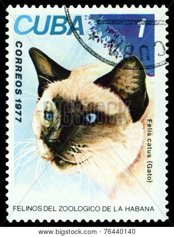 Vintage  Postage Stamp. Wild Cats. Cat.