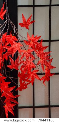 autumn in Japan