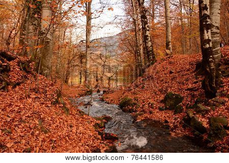 Seven Lakes