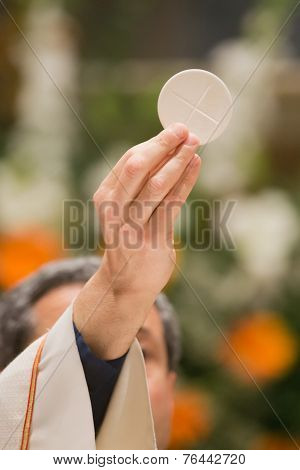 Communion Host