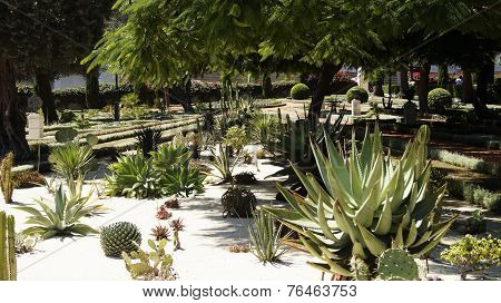 Bahai gardens