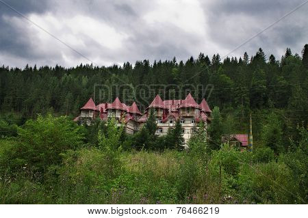 houses in the forest