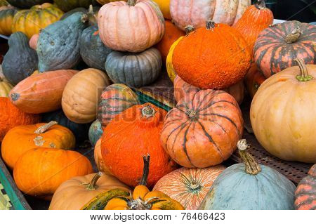 Vegetables At A Market