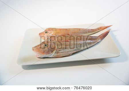 Fresh fish  with red scales