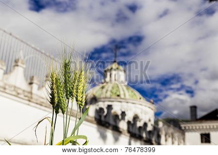 Dome Of La Compania Church In Quito Ecuador South America