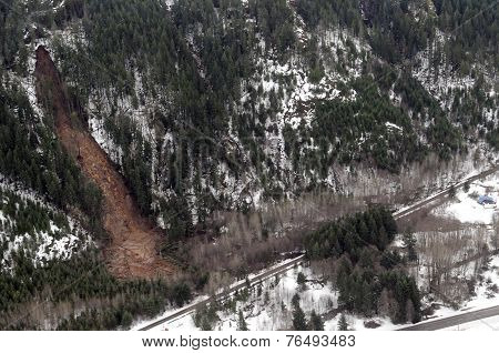 Washington Forest Mudslides