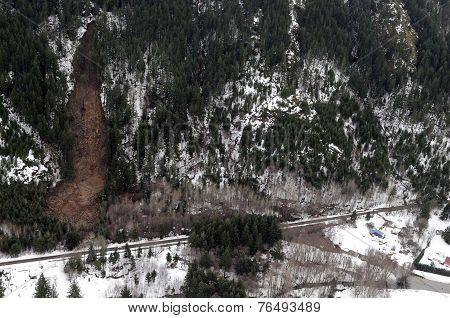 Washington Forest Mudslides
