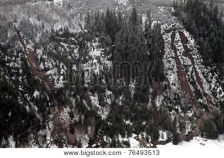 Washington Forest Mudslides