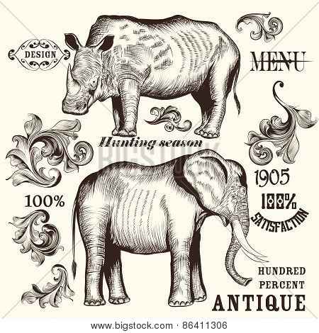Collection Of Hand Drawn Animals And Swirls For Design