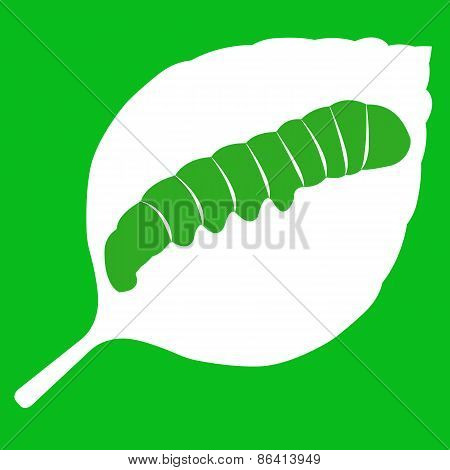 Vector illustration of leaf on green background