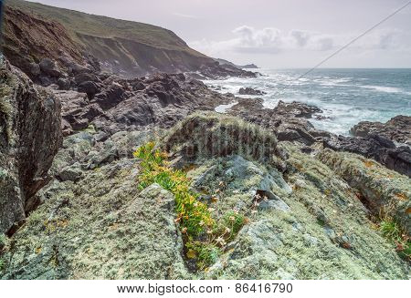 Walking along the coast path from st ives to Zennor