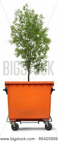 Blank Refuse Bin With Green Ash Tree