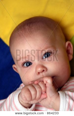bambino curioso