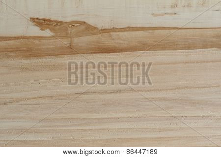 Cut Appletree Wood Background