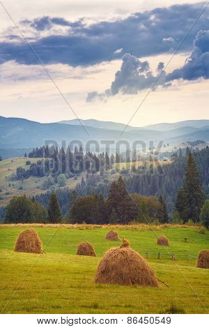 stacks of straw in mountain