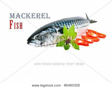 Fresh  Mackerel Fish Decorated With Pepper And Basil