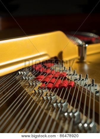 interior of a concert grand piano - shallow depth of field
