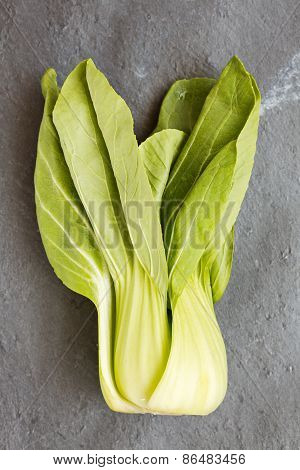 Pok Choi On Gray Background, Top View