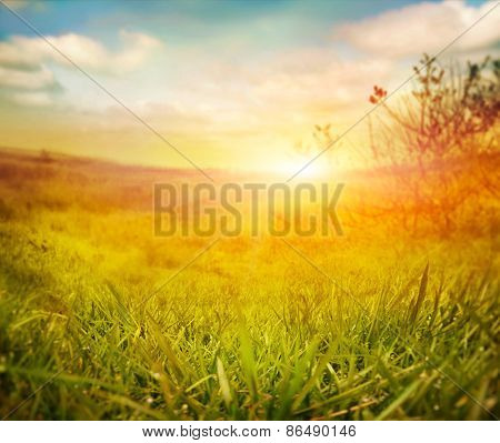 Spring Background