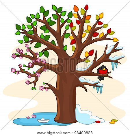 Seasons on a tree