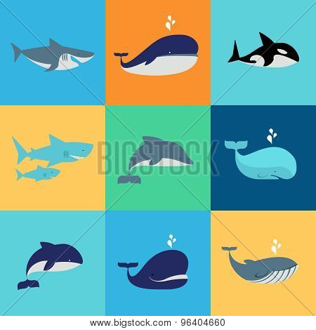 Vector set of whale, dolphin and shark icons