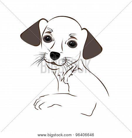 Cartoon cute outline dog