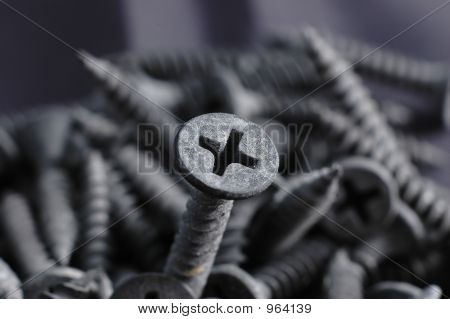 Screws2