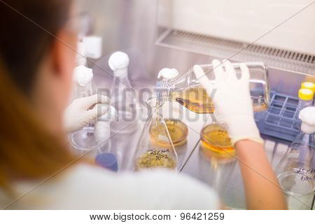 Young scientist pipetting solution.