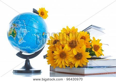 Globe With Books And Flowers