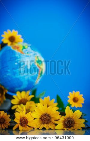 Globe With Books And Flowers