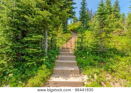 A stairs at trail in Blackwall Peak trail at Manning Park, British Columbia, Canada.