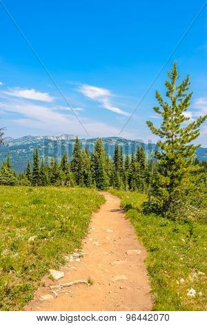 Beautiful Mountain Trail. Blackwall Peak Trail at Manning Park in British Columbia. Canada.
