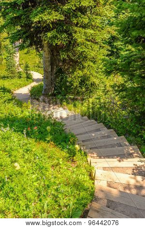 A stairs at trail in Blackwall Peak trail at Manning Park, British Columbia, Canada.