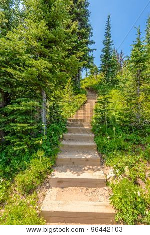 A stairs at trail in Blackwall Peak trail at Manning Park, British Columbia, Canada.