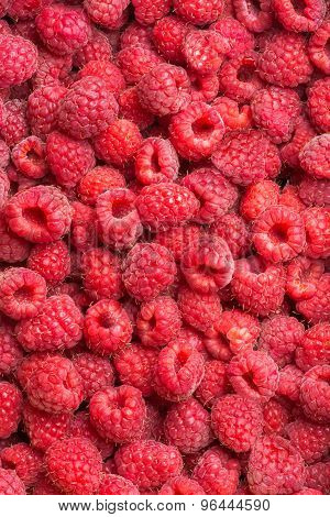 Raspberries
